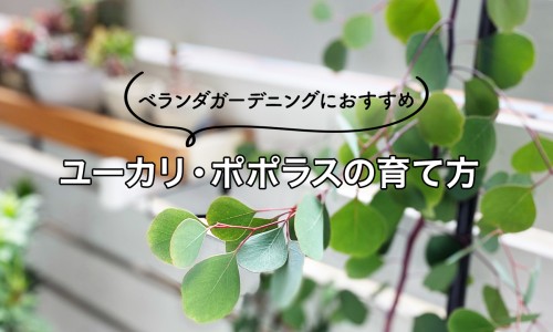 脸上突然起了很多肿块网 - 网站提供脸上突然长了很多小疙瘩小常识、脸上突然长了很多小疙瘩