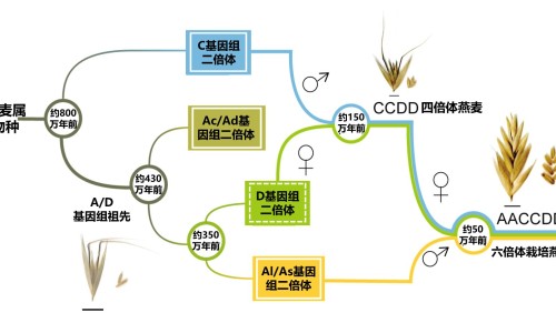 脸上突然起了很多肿块网 - 网站提供脸上突然长了很多小疙瘩小常识、脸上突然长了很多小疙瘩
